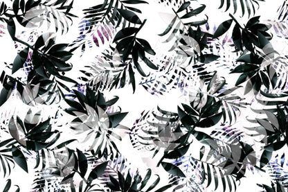 Clare Leaves