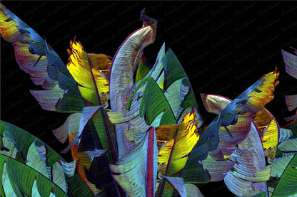 Rainbow Leaves