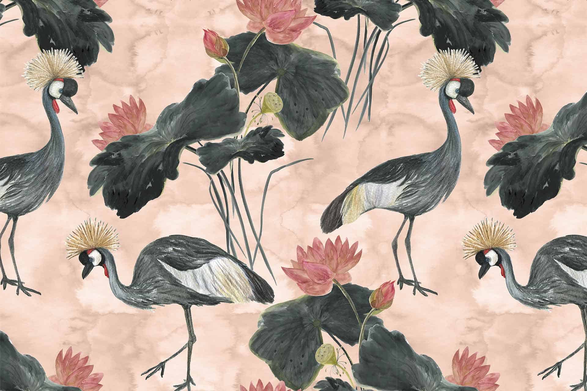 Crowned Cranes
