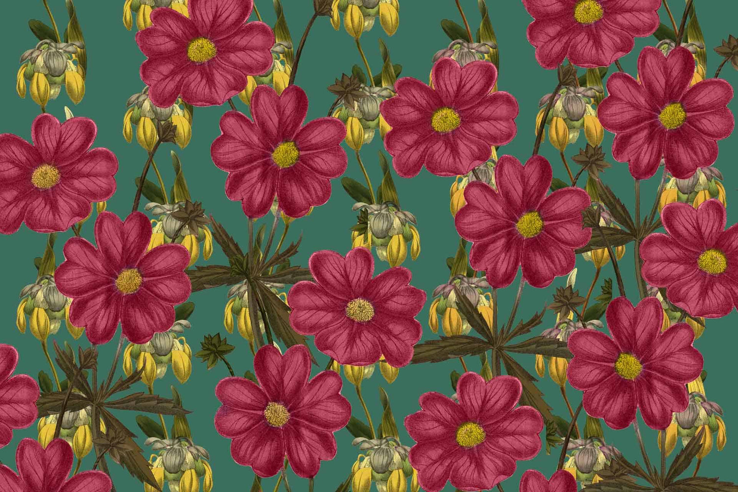 Daisy Chain