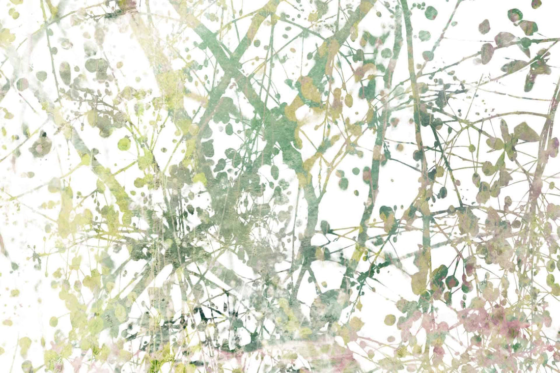 Dance in the Light