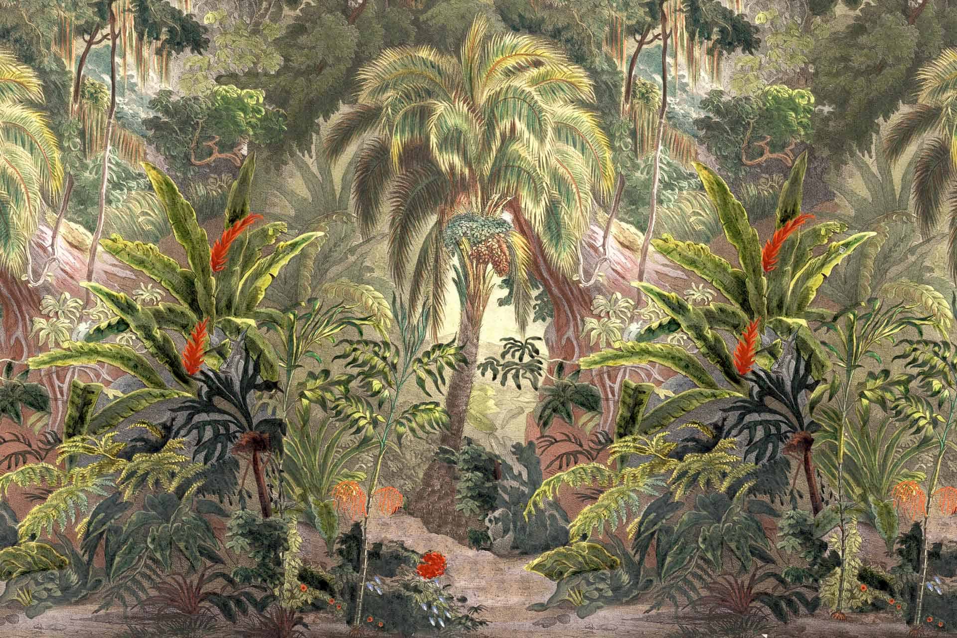 Deep in the Tropics