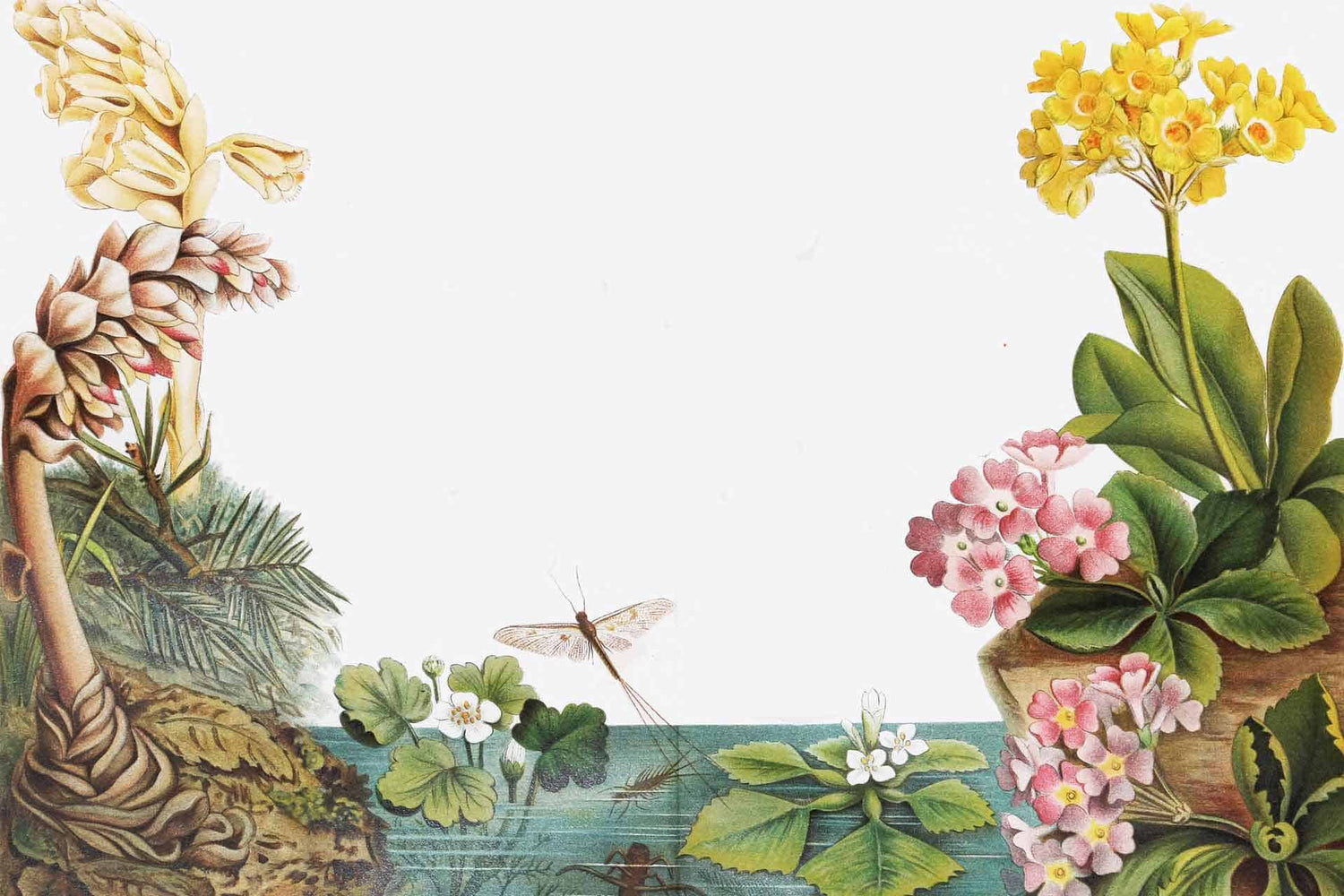 Dragonflies Whizz By