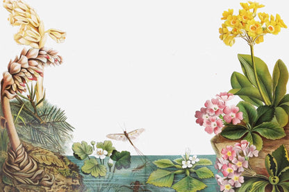 Dragonflies Whizz By
