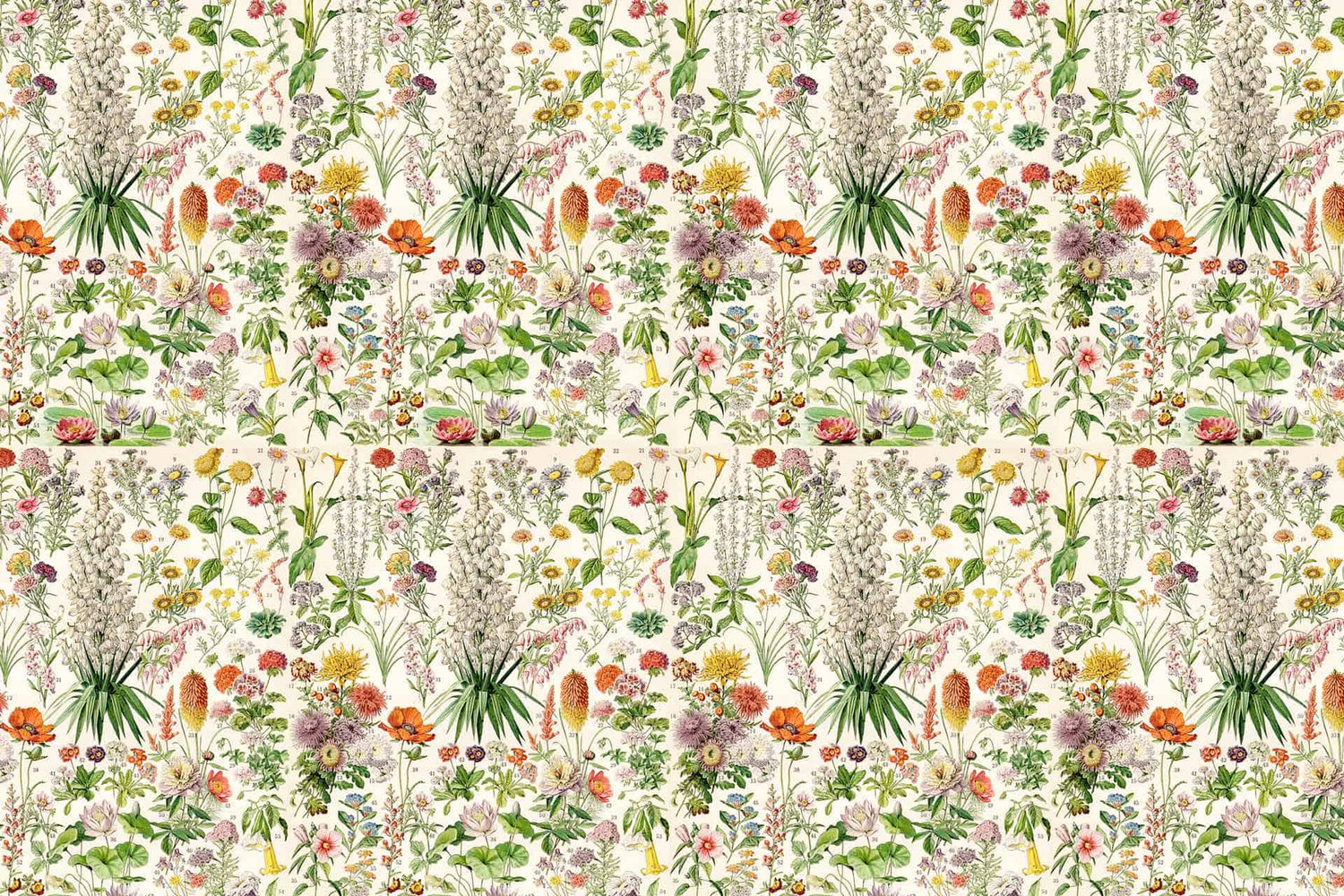 Elizabeths Garden