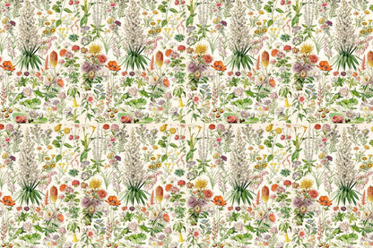 Elizabeths Garden
