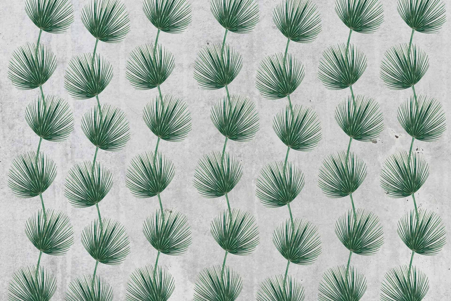 Fern Fest