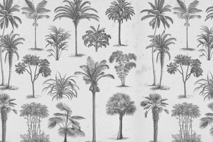 Find me under the Palms