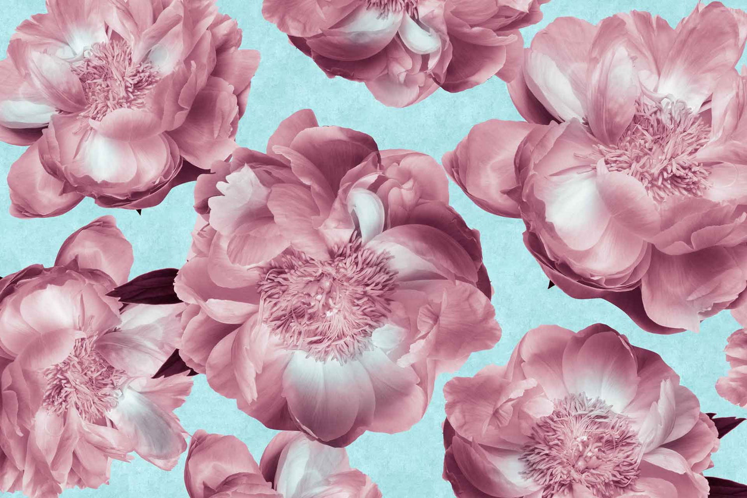 Flower Floats