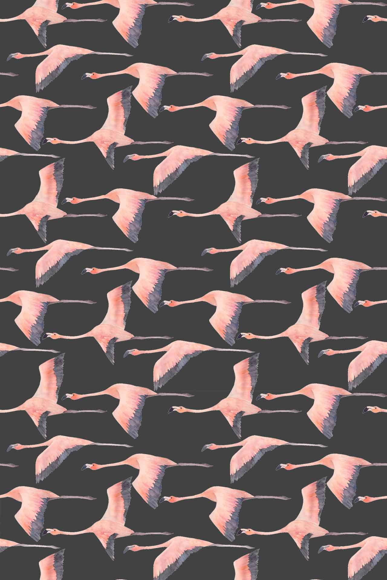 Flying Flamingo