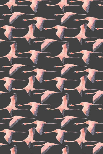 Flying Flamingo