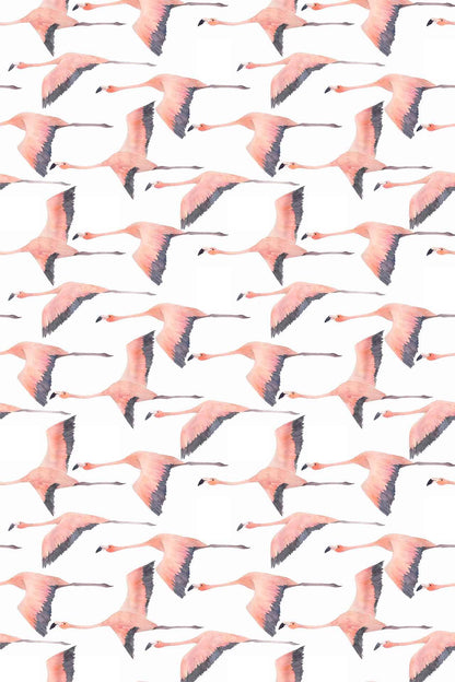 Flying Flamingo