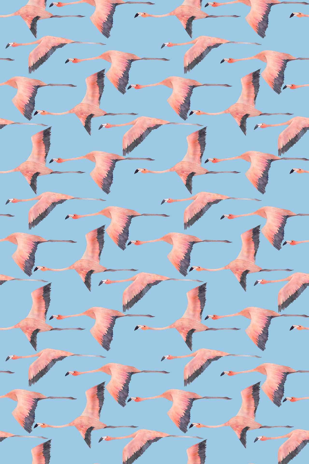 Flying Flamingo