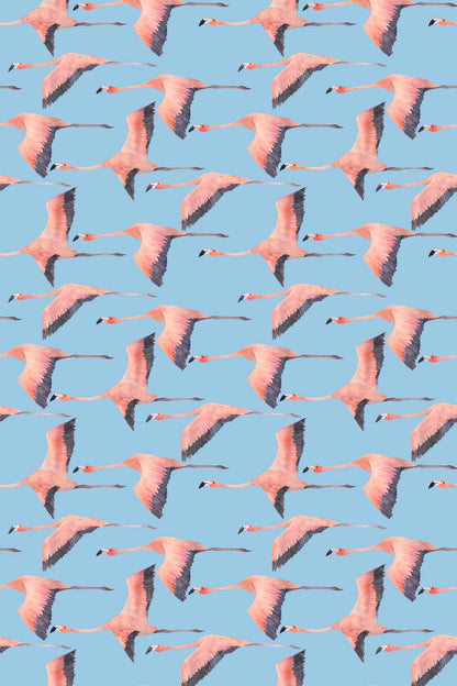 Flying Flamingo
