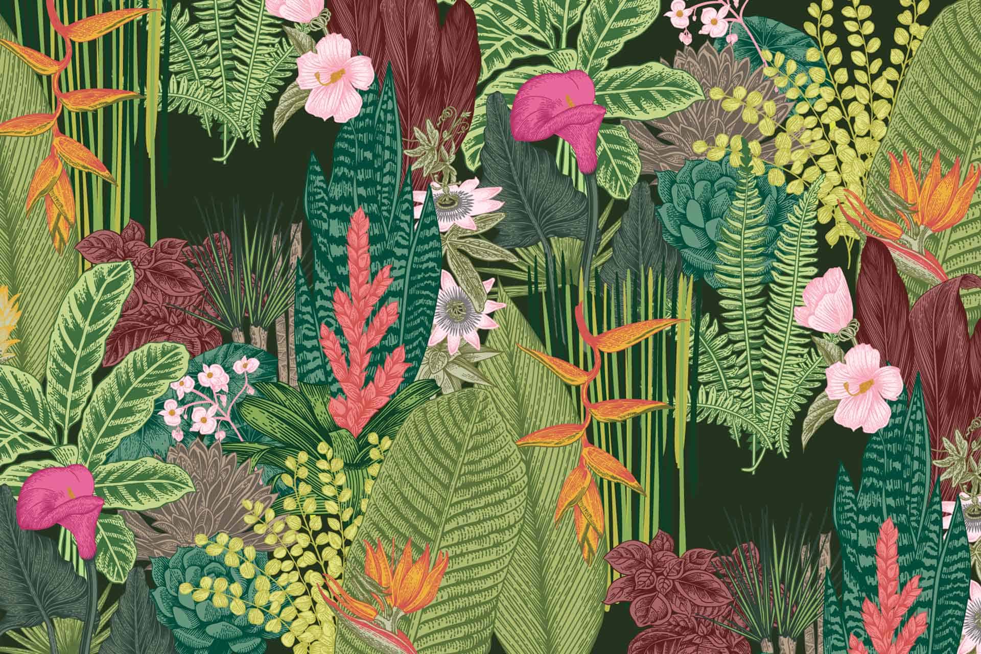 Garden of Eden