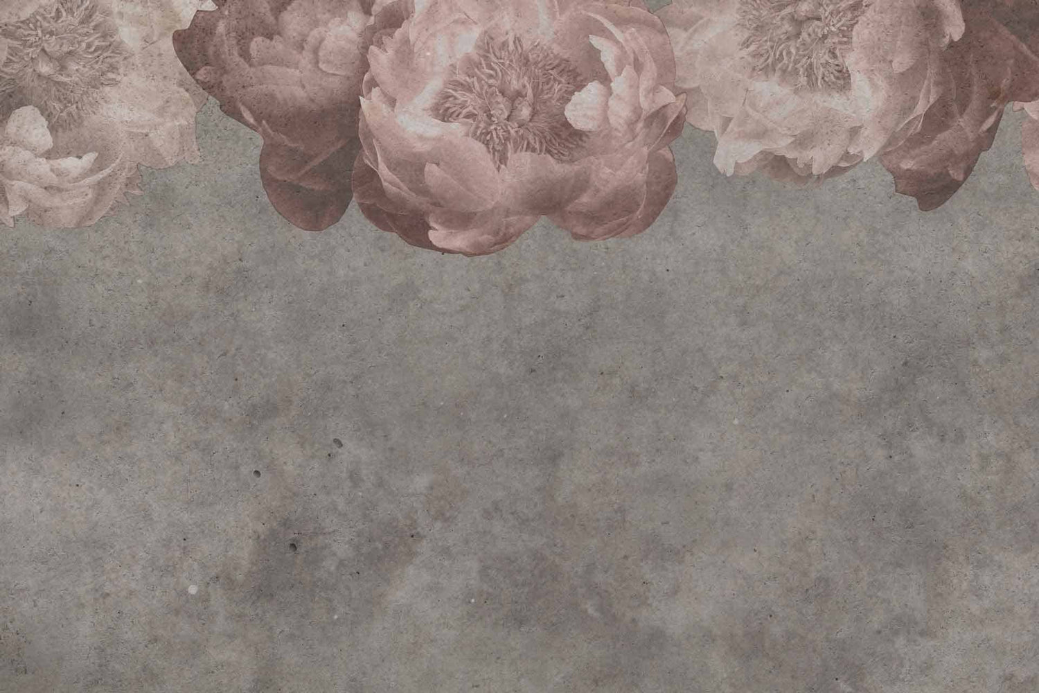 Go Softly