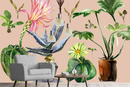 House Plants