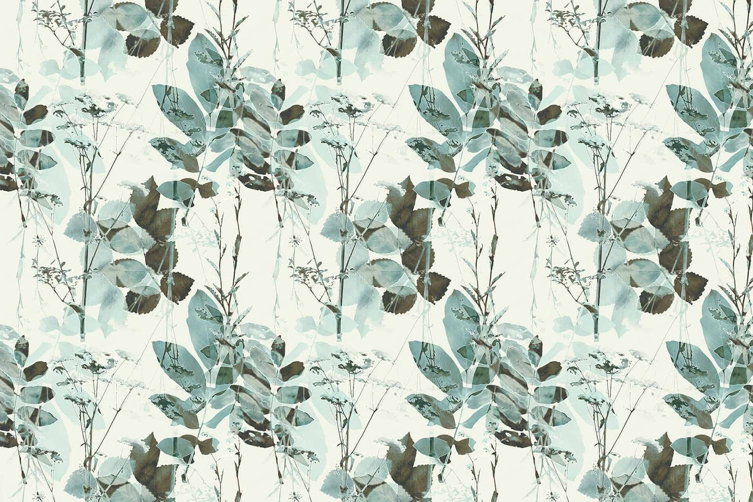 Ivy In My Pocket