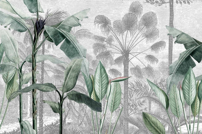 KZN Palms