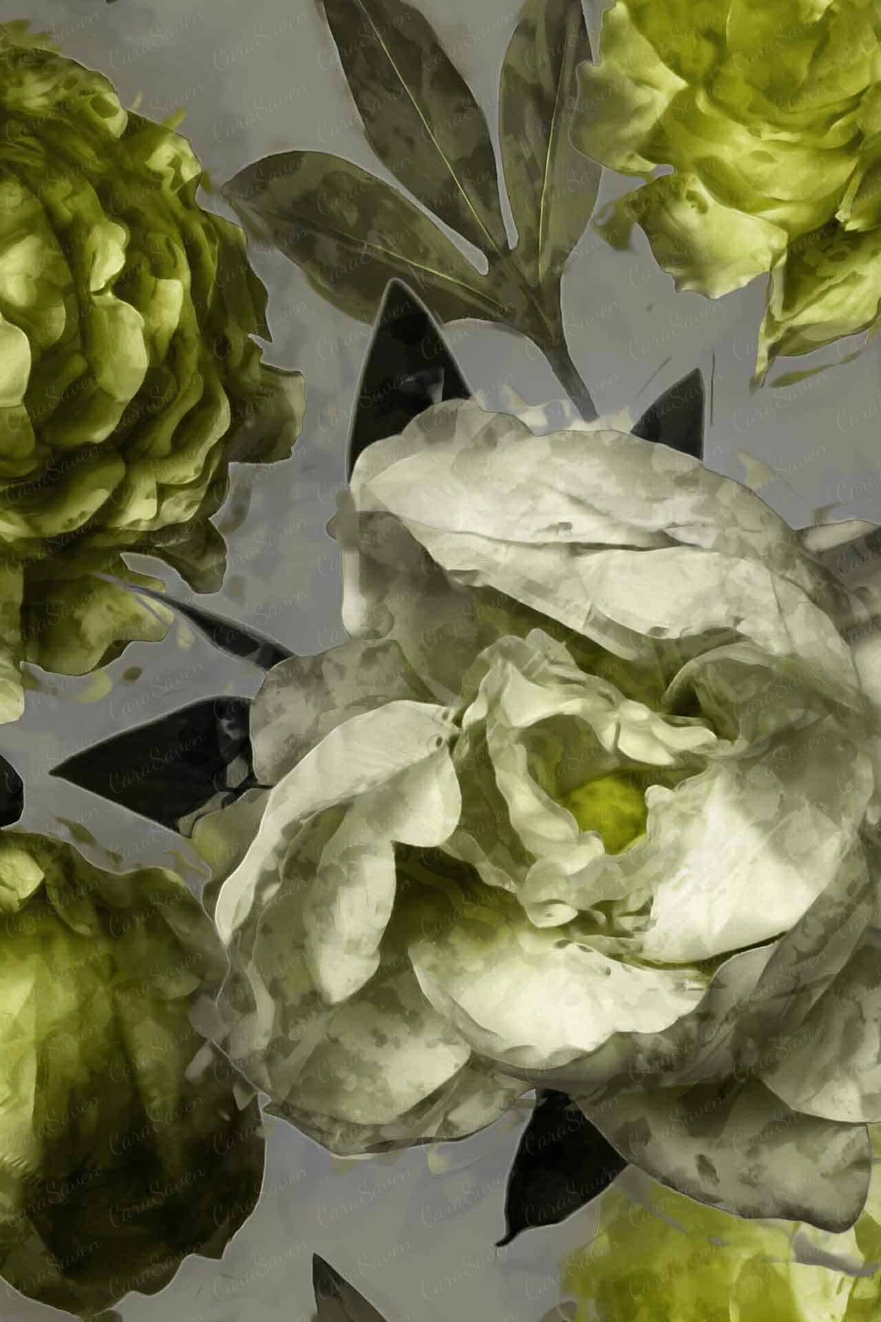 Licorice and Lime
