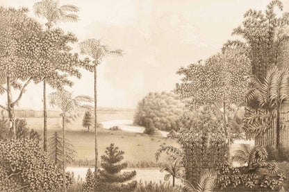 Louisiana