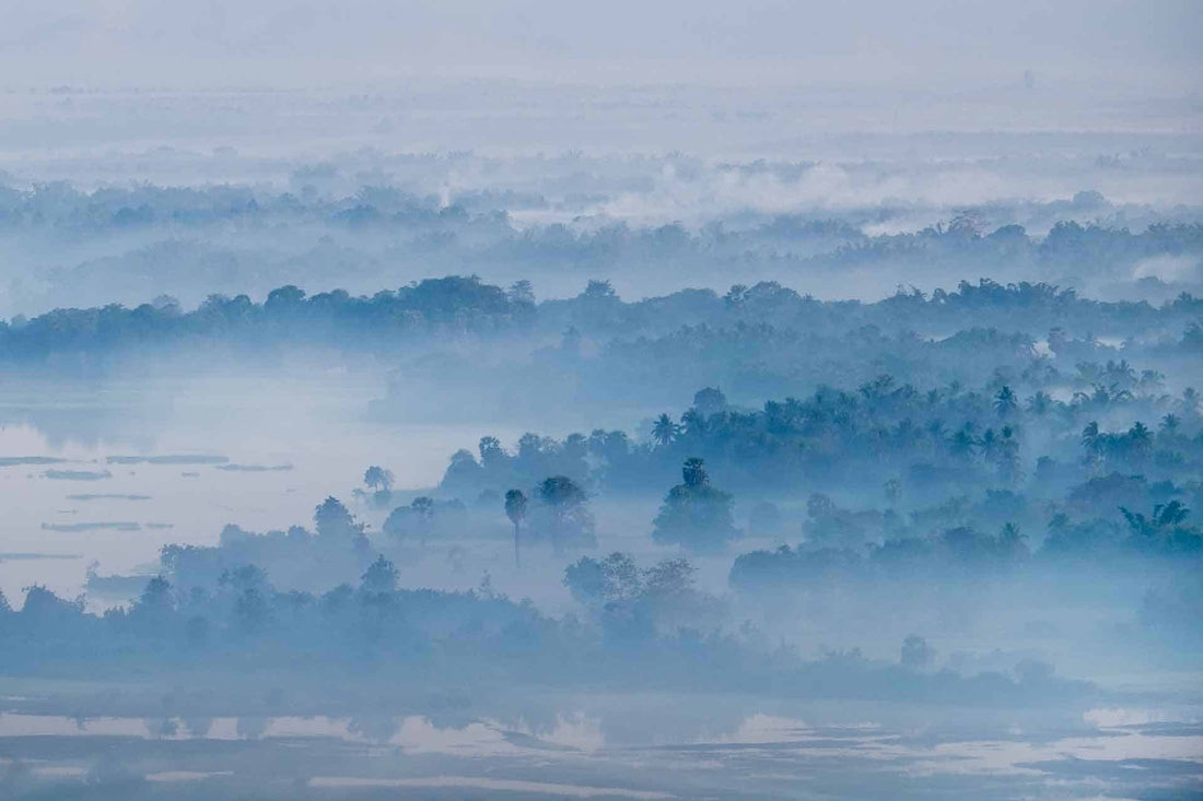 Misty Blue