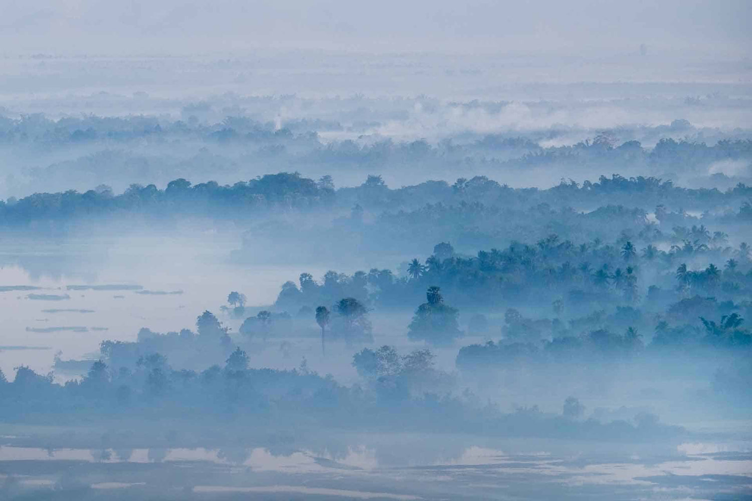 Misty Blue
