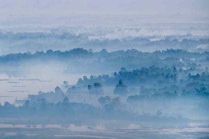 Misty Blue