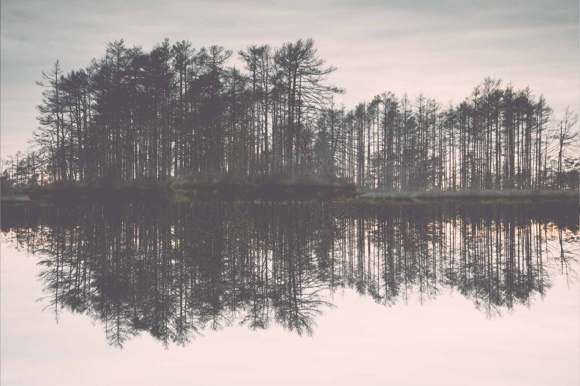 Mystic Thoughts