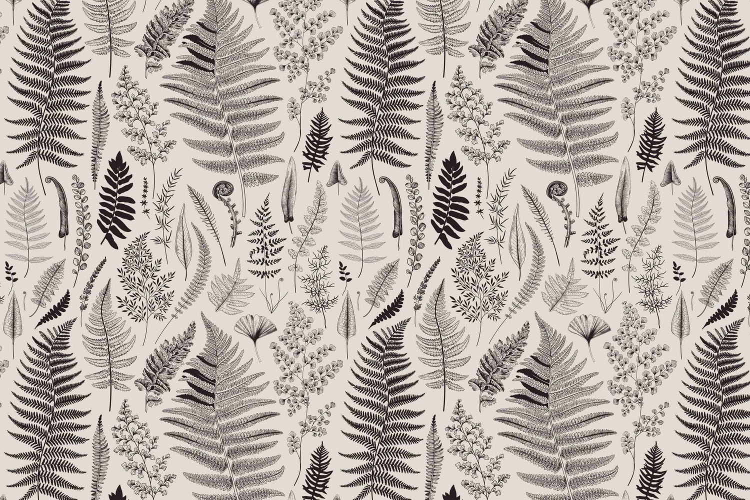 Nature Study