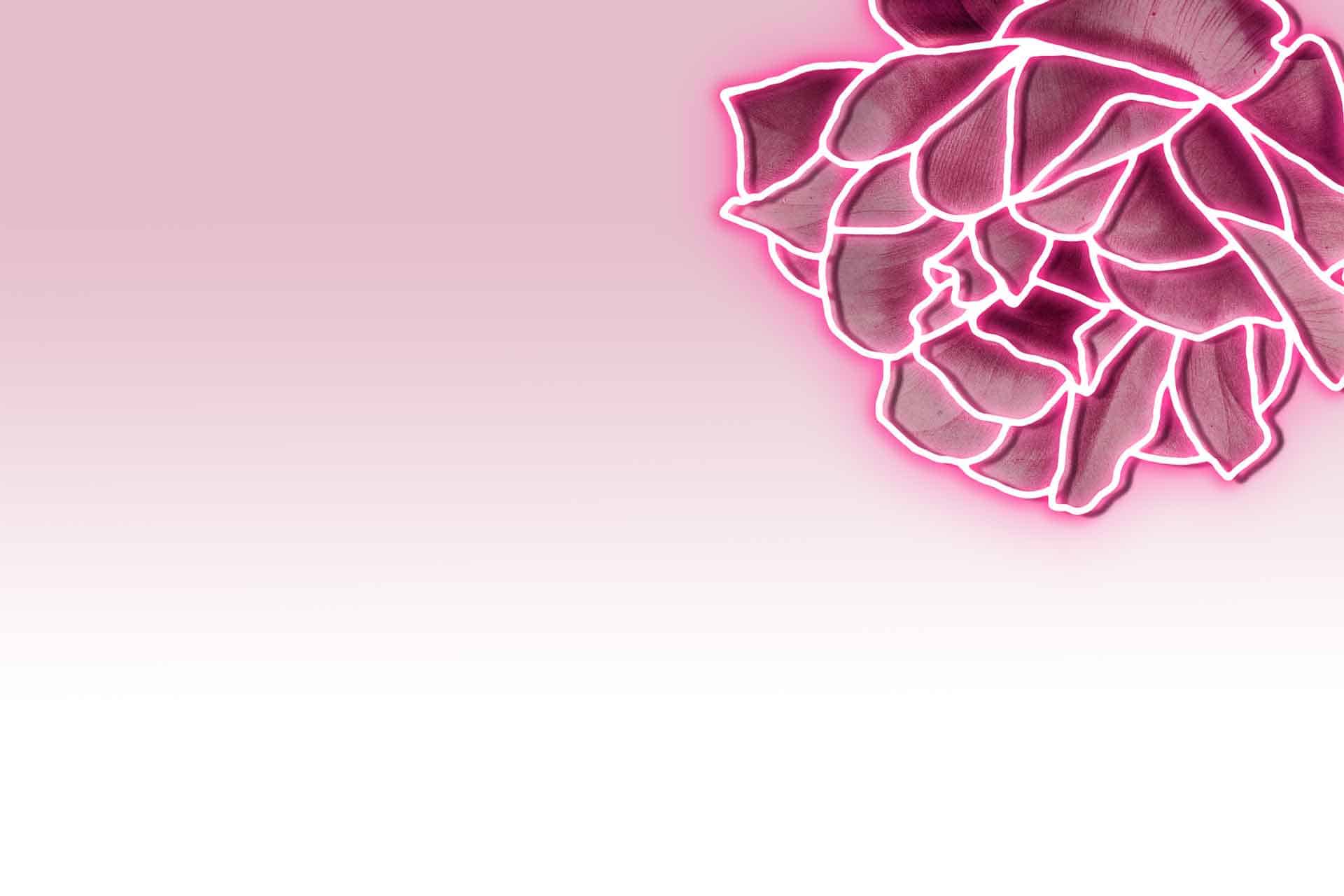 Neon Rose