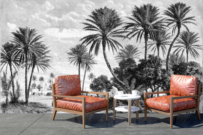 Oasis in Tunis