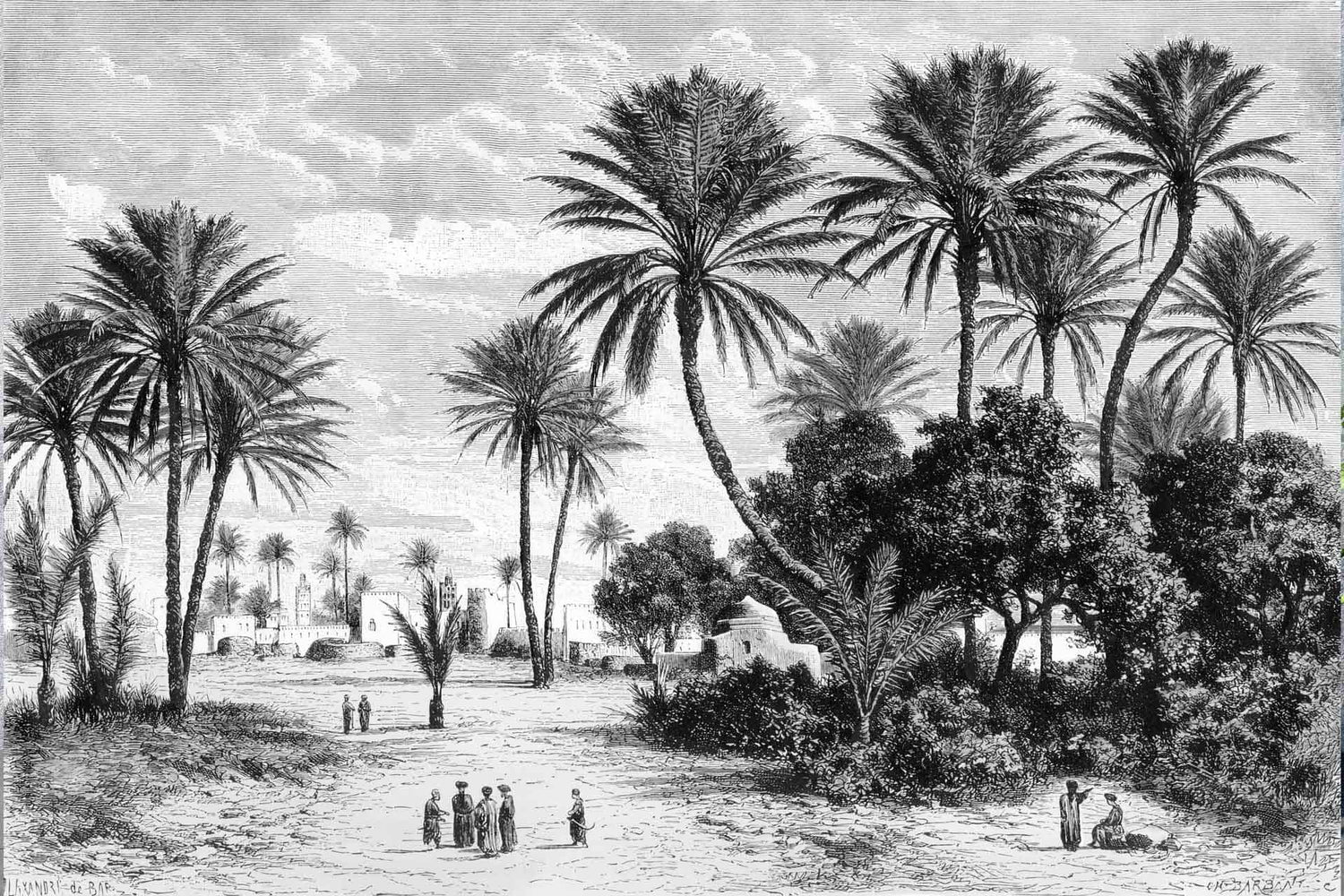 Oasis in Tunis