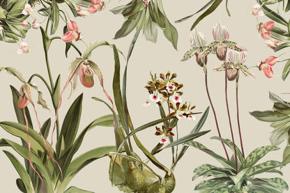 Orchid Kingdom
