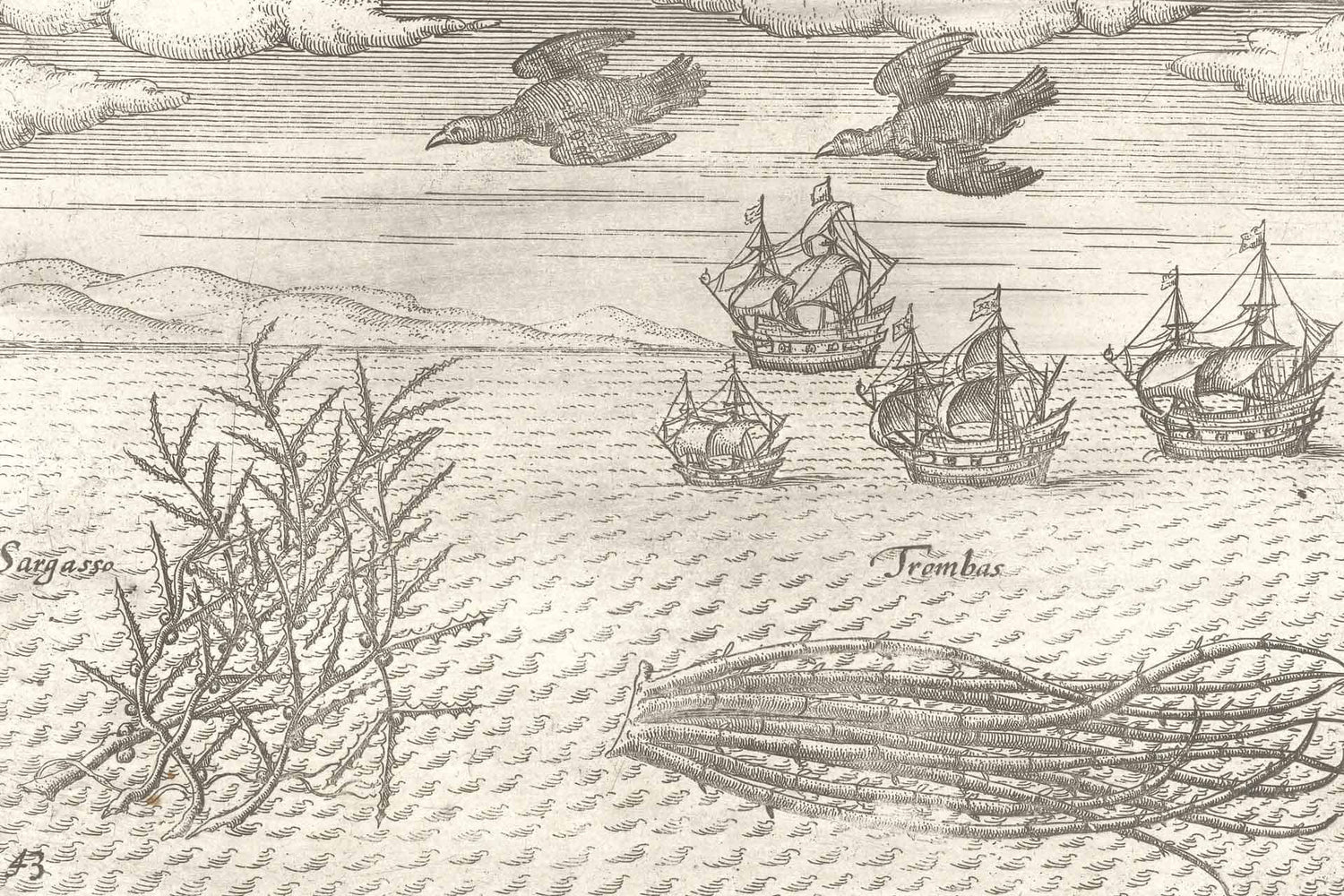 Out to Sea