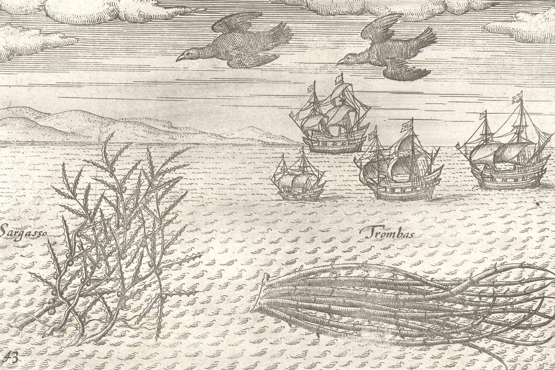 Out to Sea