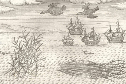 Out to Sea