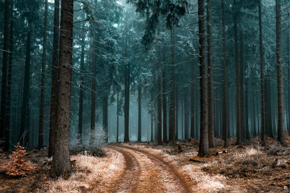 Path Less Taken