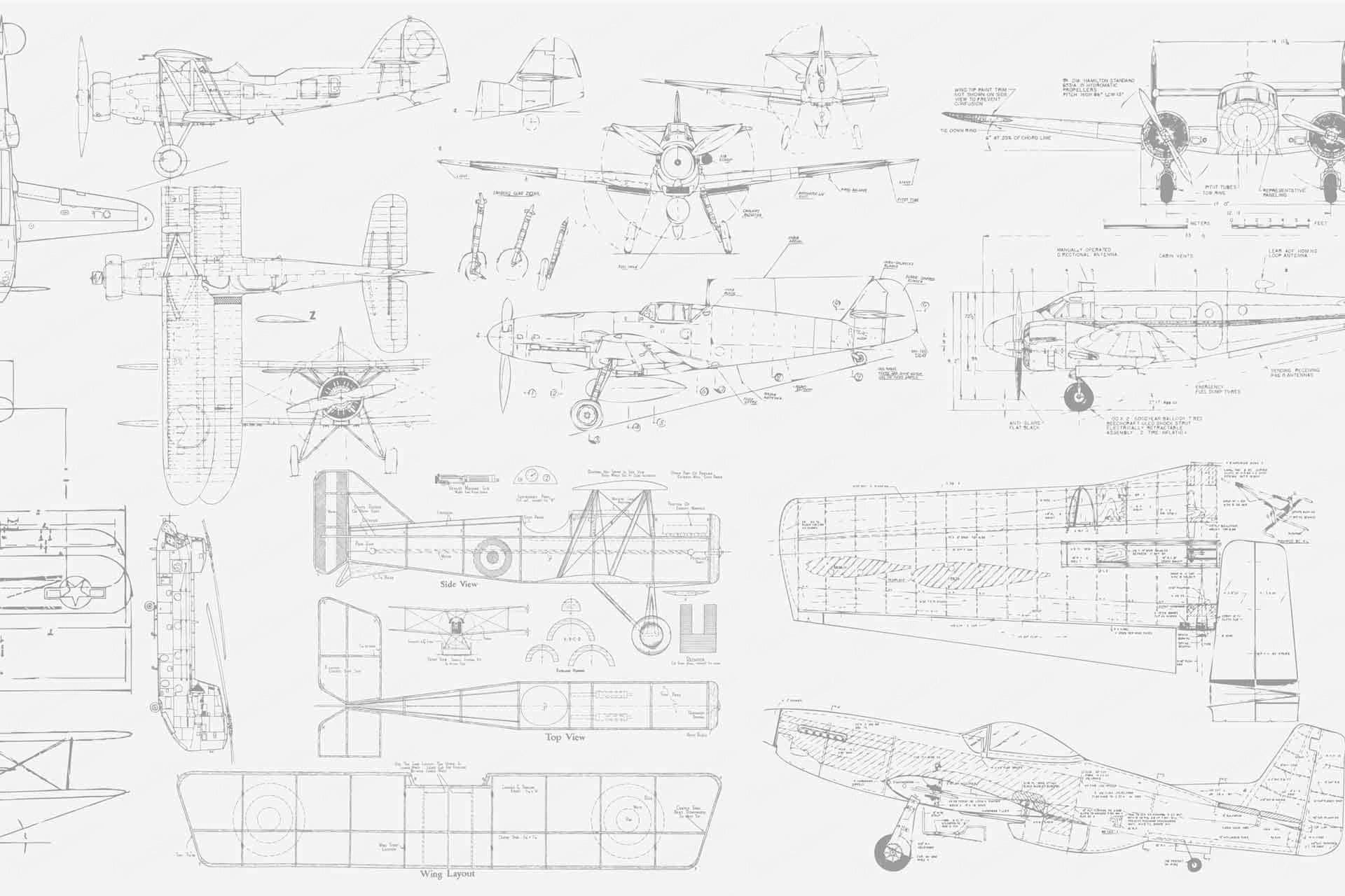 Plane Fun