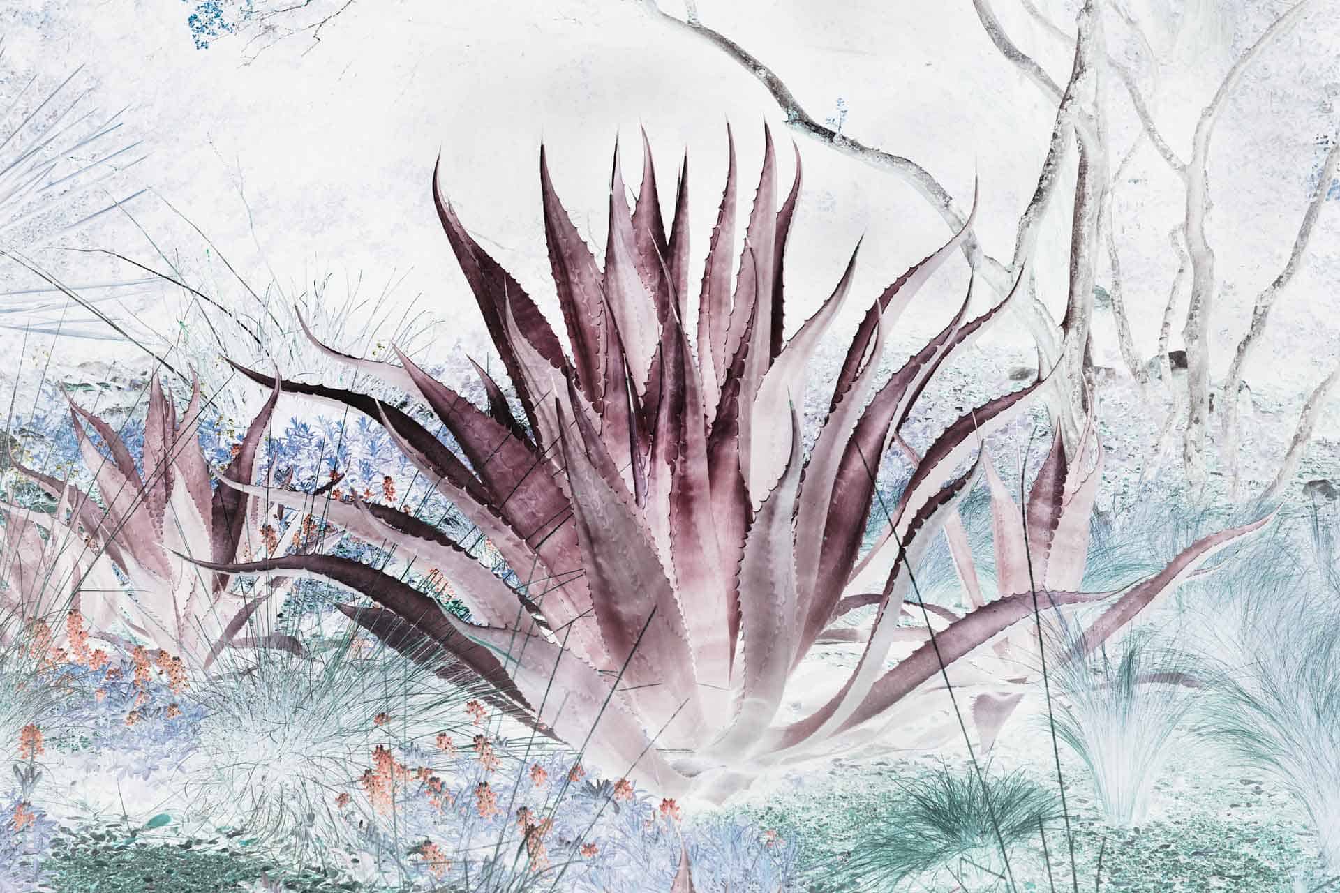 Positive Effect