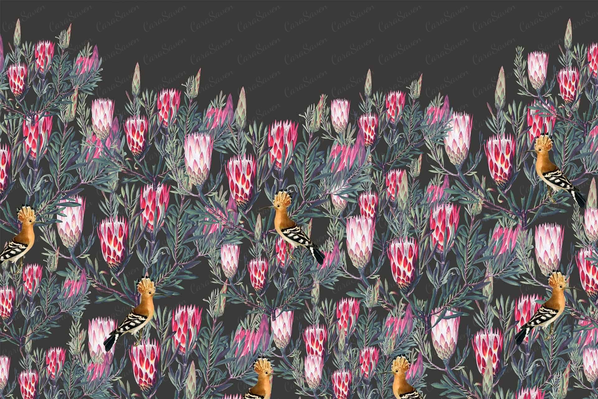 Protea Hedge