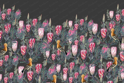 Protea Hedge