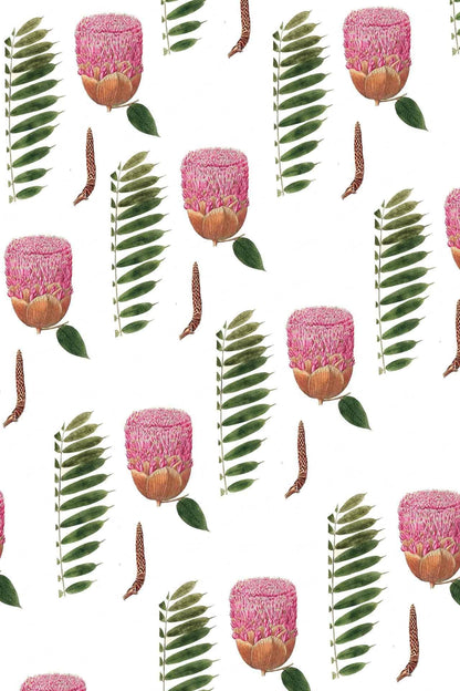 Protea Pods