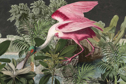 Roseate Spoonbill