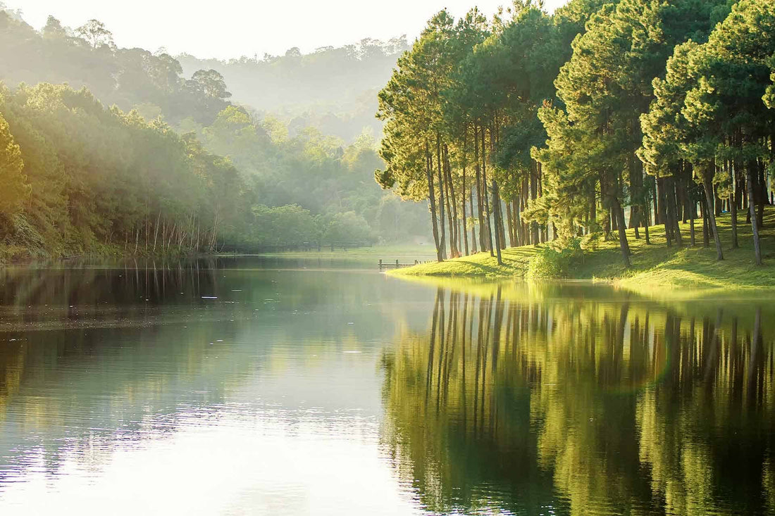 Serenity Edge