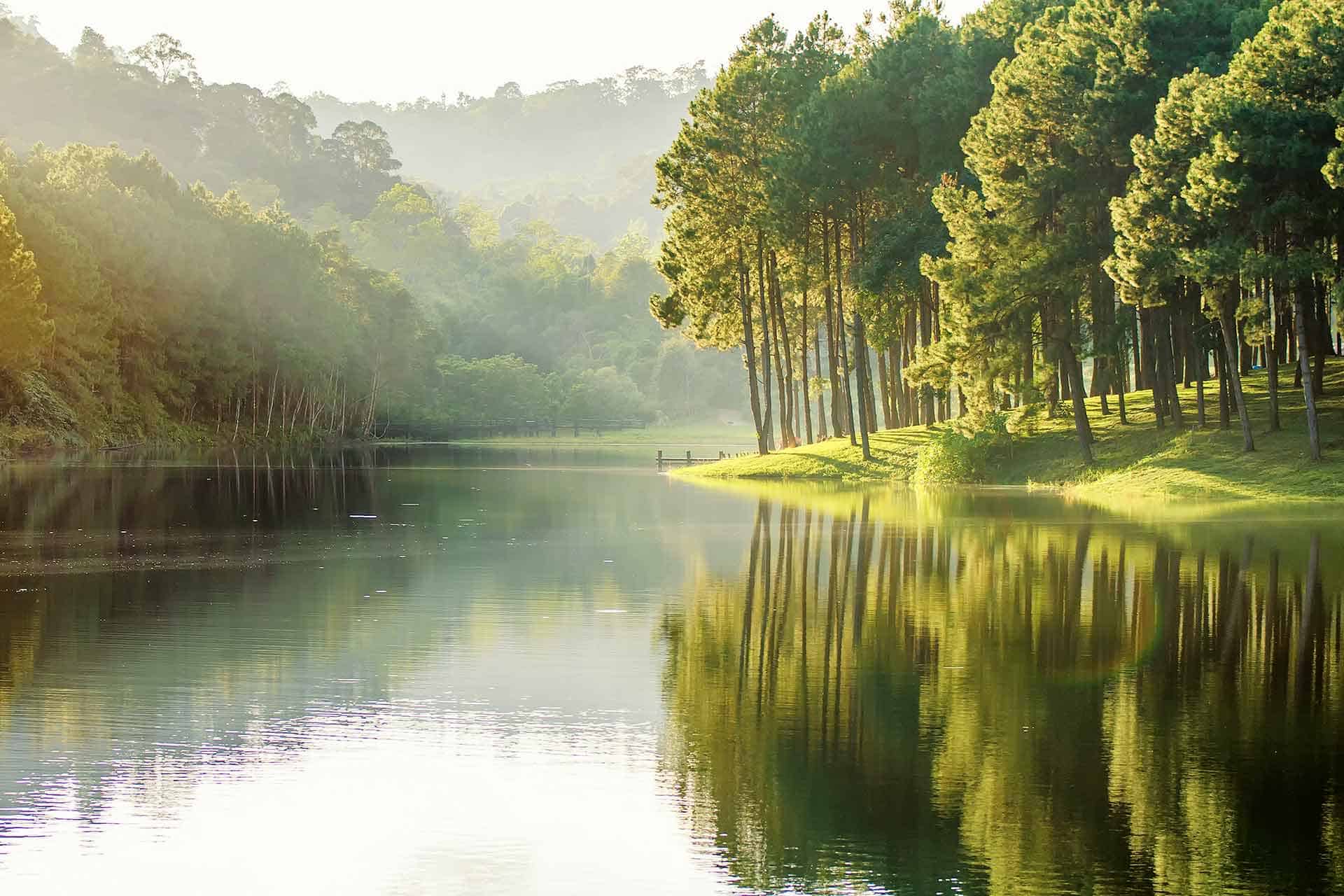 Serenity Edge