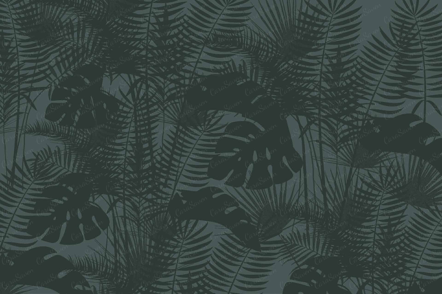 Shadow Fern