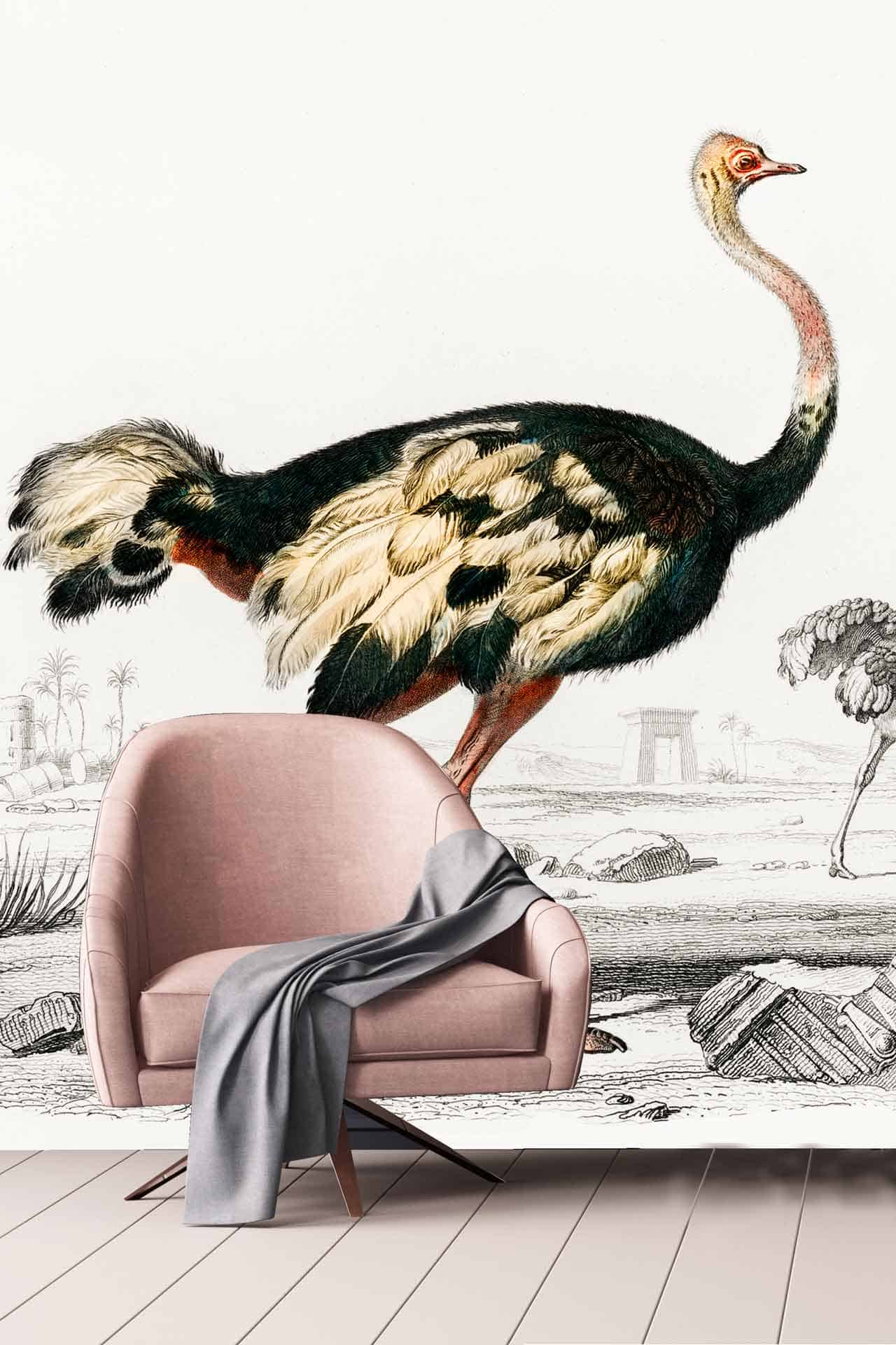 Shake Your Tail Feather