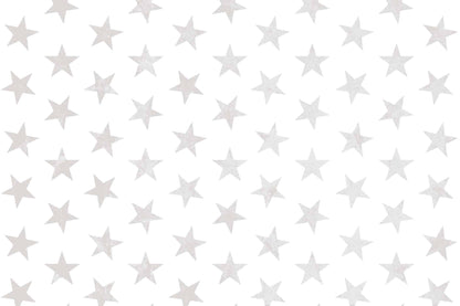 Star of the Show