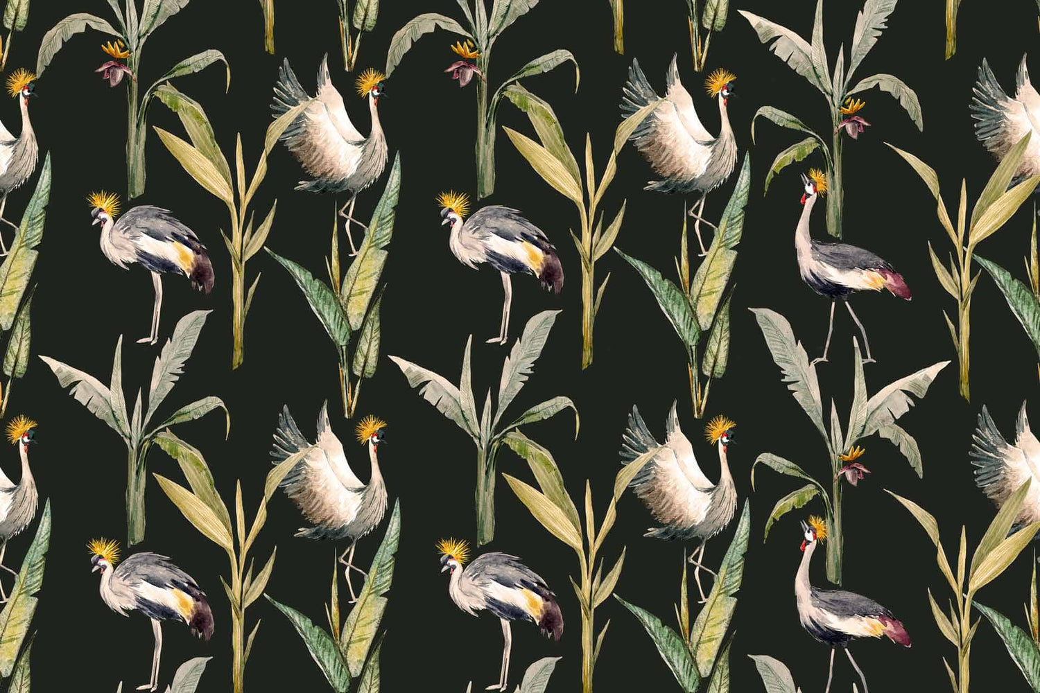 Storks Crown